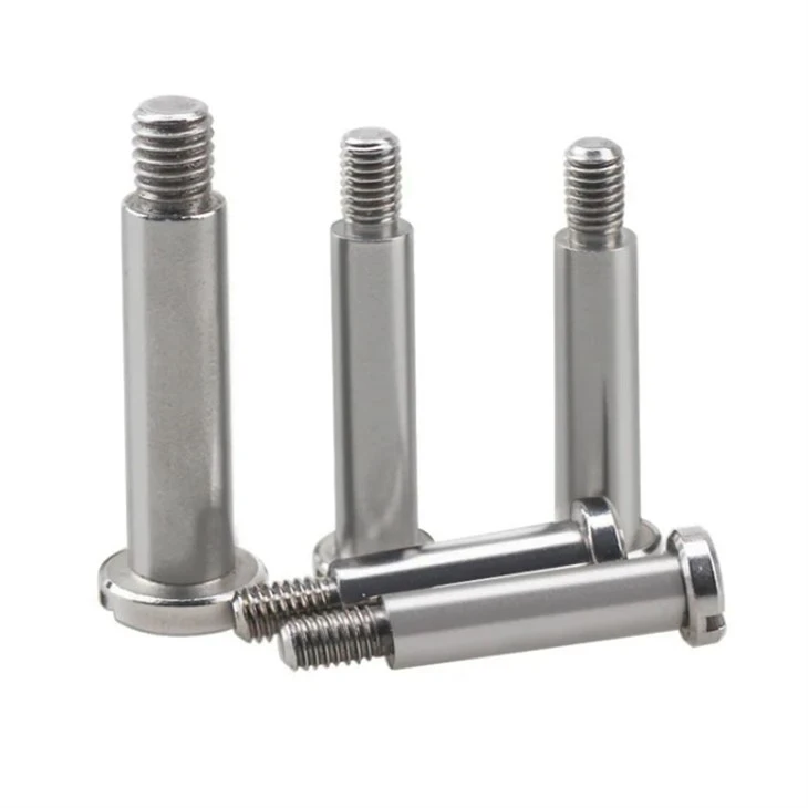 slotted screw (2)