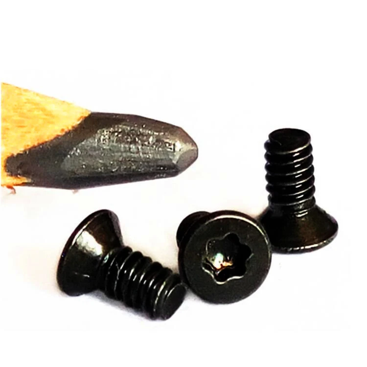 Mini torx screw 1 Mini torx screw 1